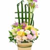 Hoa Hộp BX 053