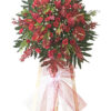 Hoa Chúc Mừng SF 117