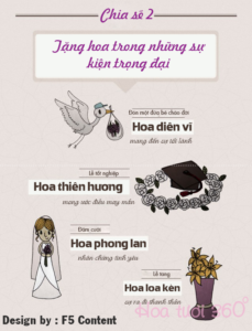 chia se 2- tang-hoa-theo-su-kien