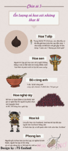 chia se3 - an-tuong-ve-hoa-voi-nhung-thuc-te
