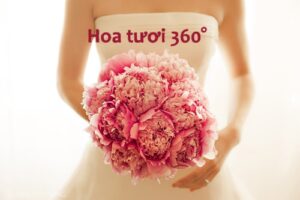 chuan-bi-hoa-cuoi-can-biet-nhung-gi