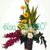 Hoa bình V 010