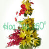 Hoa bình V 018
