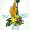 Hoa bình V 022