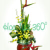 Hoa bình V 033