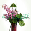 Hoa bình V 040