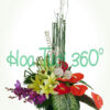 Hoa bình V 044