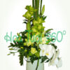 Hoa bình V 046