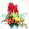 Hoa bình V 054