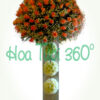 Hoa bình V 076
