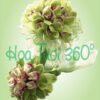 Hoa cầm tay cô dâu W 007