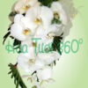 Hoa cầm tay cô dâu W 090