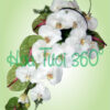Hoa cầm tay cô dâu W 092
