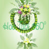 Hoa chia buồn SSF 003