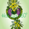 Hoa chia buồn SSF 023