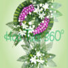 Hoa chia buồn SSF 027