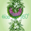 Hoa chia buồn SSF 028