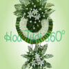 Hoa chia buồn SSF 029