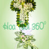 Hoa chia buồn SSF 037