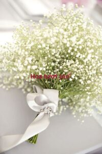 hoa-cuoi-ket-tu-baby-trang-mong-manh