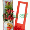 Hoa hộp BX 001
