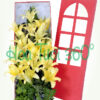 Hoa hộp BX 004