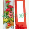Hoa hộp BX 011
