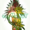Hoa kệ khai trương SF 032