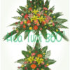 Hoa kệ khai trương SF 043
