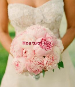 hoa-mau-don-tuyet-dep-cho-co-dau-viet
