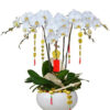 Hoa Lan Hồ Điệp OR 064