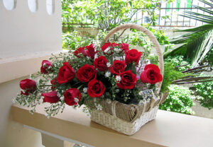 sac-do-cho-mua-giang-sinh