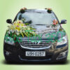 Xe hoa CF 001