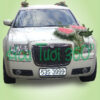 Xe hoa CF 015