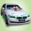 Xe hoa CF 021