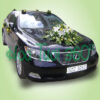Xe hoa CF 022