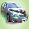 Xe hoa CF 023