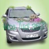 Xe hoa CF 024
