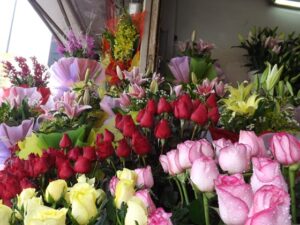 Tại shop có đa dạng các loại hoa Tết