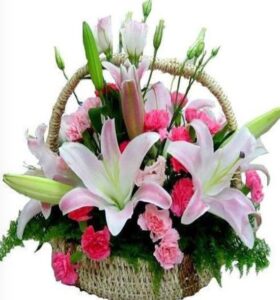 Hoa ly cũng có thể lựa chọn để tặng cho sếp nữ trong ngày 8/3 bởi thể hiện sự ngưỡng mộ, đề cao