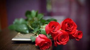 Hay đơn giản là những bông hồng đỏ mộc mạc cũng đủ làm cho người nhận cảm động