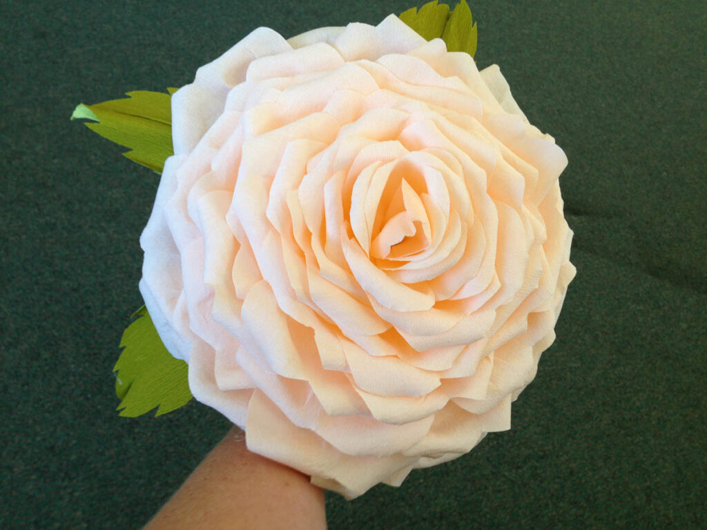 Hoa trà my là một trong những kiểu hoa cưới dạng này được sử dụng nhiều nhất.