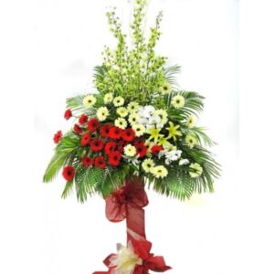 Hoa đồng tiền thể hiện cho sự giàu sang phú quý trong ngày khai trương