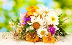 Hoa tươi giúp cuộc sống của chúng ta thêm tươi mới
