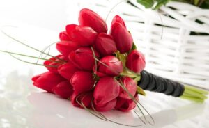 Tulip đẹp và thể hiện cho sự mạnh mẽ