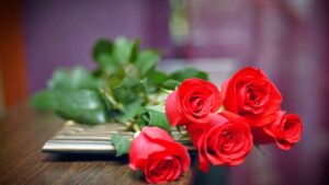 Hồng đỏ biểu tượng cho tình yêu mãnh liệt và bất tử