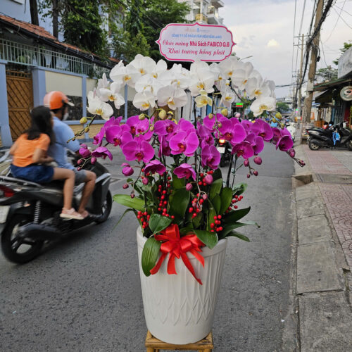 Shop hoa tươi quận Gò Vấp