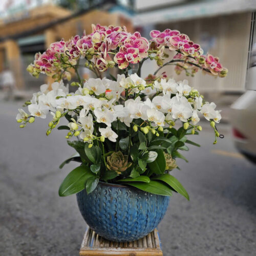 Shop hoa tươi quận Gò Vấp