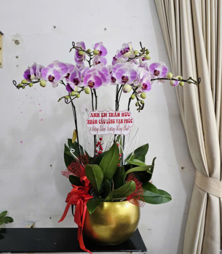 Mỗi sản phẩm tại shop hoa tươi Nguyễn Hữu Thọ quận 7 đều mang thông điệp yêu thương, giúp khách hàng dễ dàng gửi gắm tình cảm đến người thân.