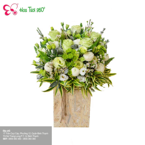 Hoa chúc mừng - Phần thưởng về tinh thần và sự công nhận về nỗ lực